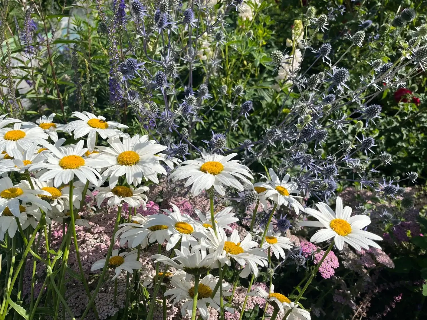 Greenera completed garden